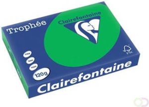 Clairefontaine Trophée Intens gekleurd papier A4 120 g 250 vel bijartgroen